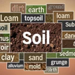 synonyms for soil