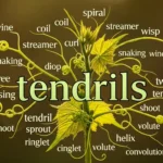 synonyms of tendrils