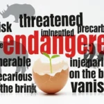 synonyms for endangered