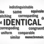 synonyms for identical