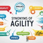 synonyms of agility
